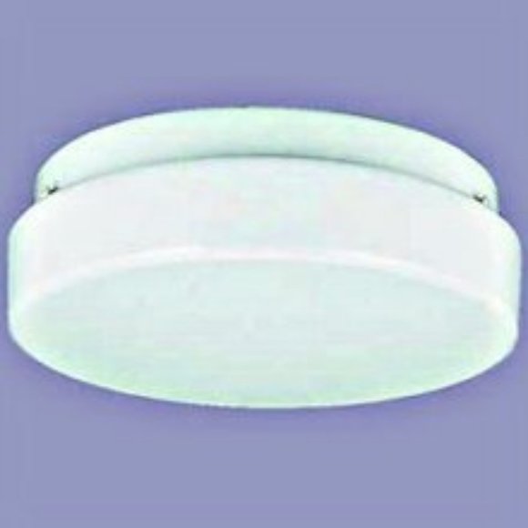 Sea Gull Lighting Ceiling Light Fixture white NIB - Picture 1 of 10